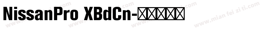 NissanPro XBdCn字体转换